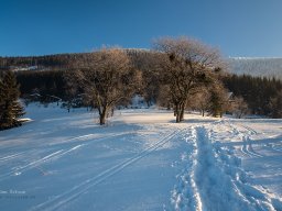 Zima na Butořance